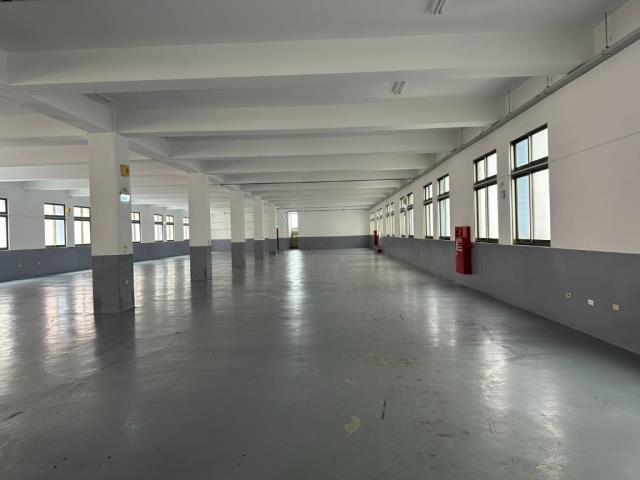 桃園龜山廠房-0