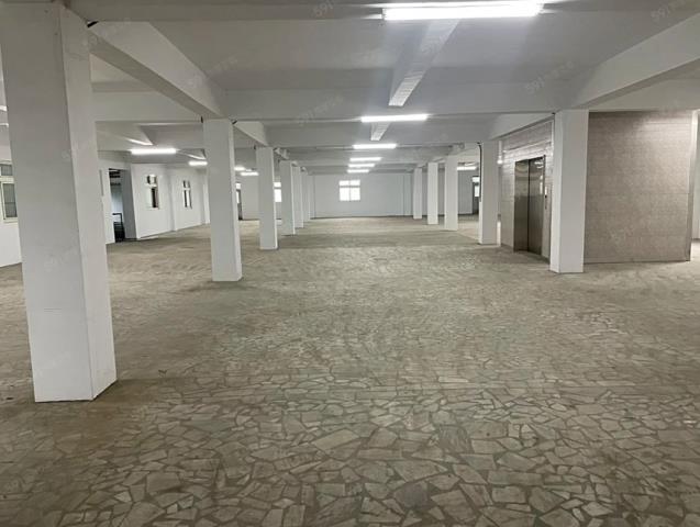 桃園大園廠房-0