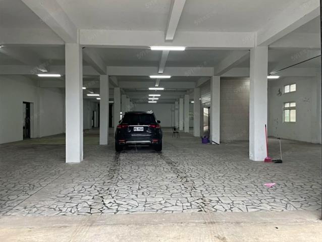 桃園大園廠房-2