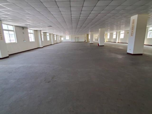 桃園平鎮廠房-1