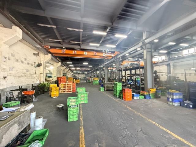 新屋廠房-0