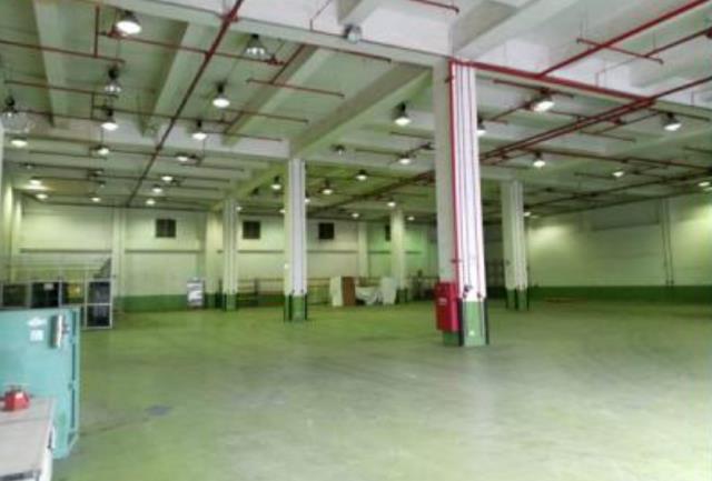 桃園大園廠房-0